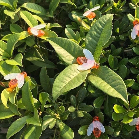 Set 2x Instalatie Solara Decorativa Albine cu LED M365-6, 50 Albine Luminoase, Lumina Cald