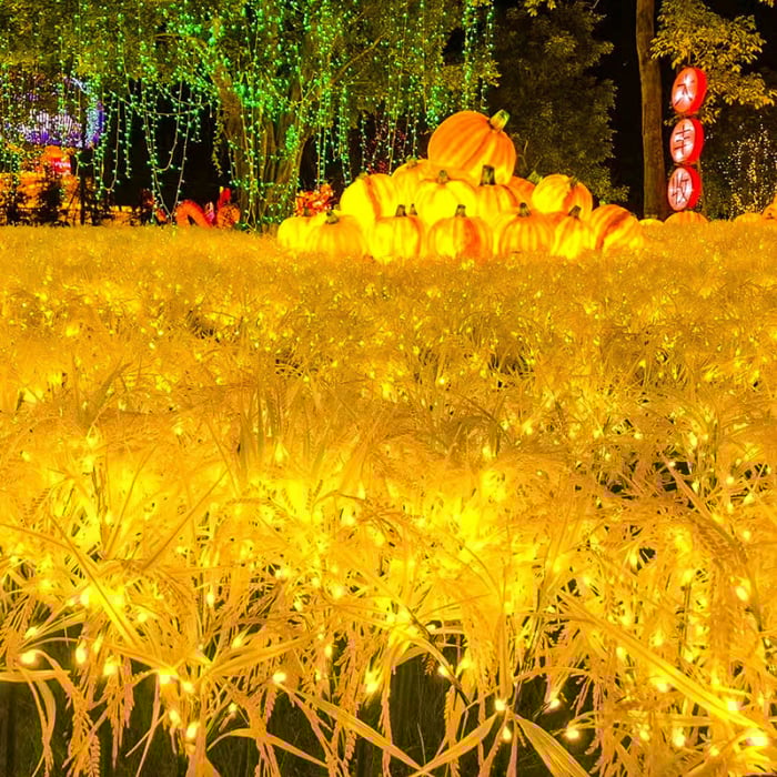 Set 2 Lampi Solare Decorative Spice de Grau M374-16, 60cm, IP66, LED cu Senzor Lumina