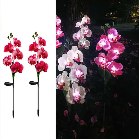 Set 4 x Lampi Solare Orhidee cu LED – Decor Romantic pentru Gradina, Tarus si Panou Solar